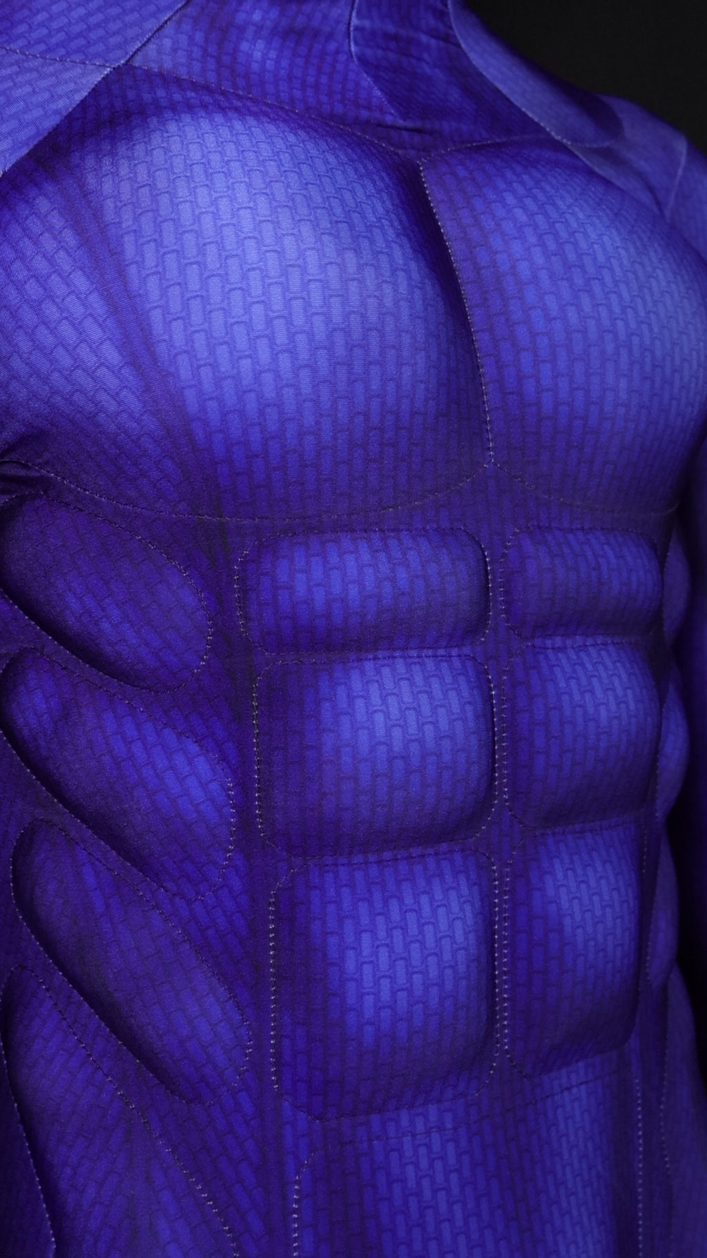 Deep Indigo Shadow Cosplay Garb - Custom Personalized 3D Lycra Suit